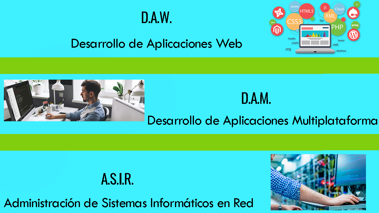 What Is Taught in the First Year of DAM vs DAW vs ASIR?