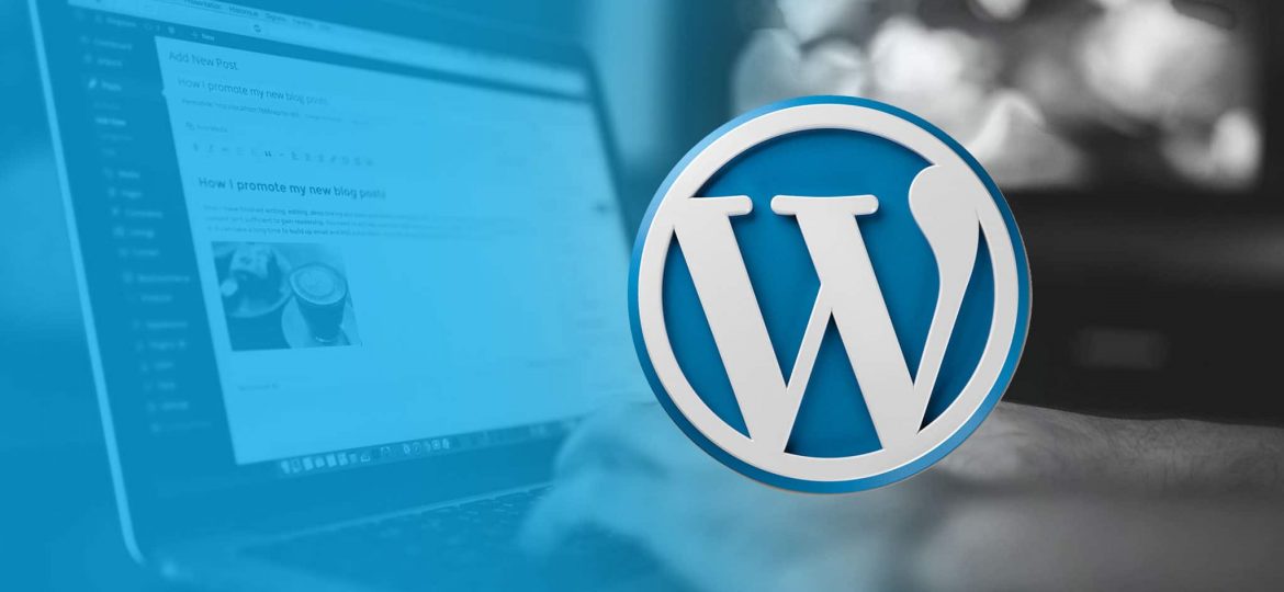 WordPress: What Are WP-Admin and WP-Login and How to Hide Them?