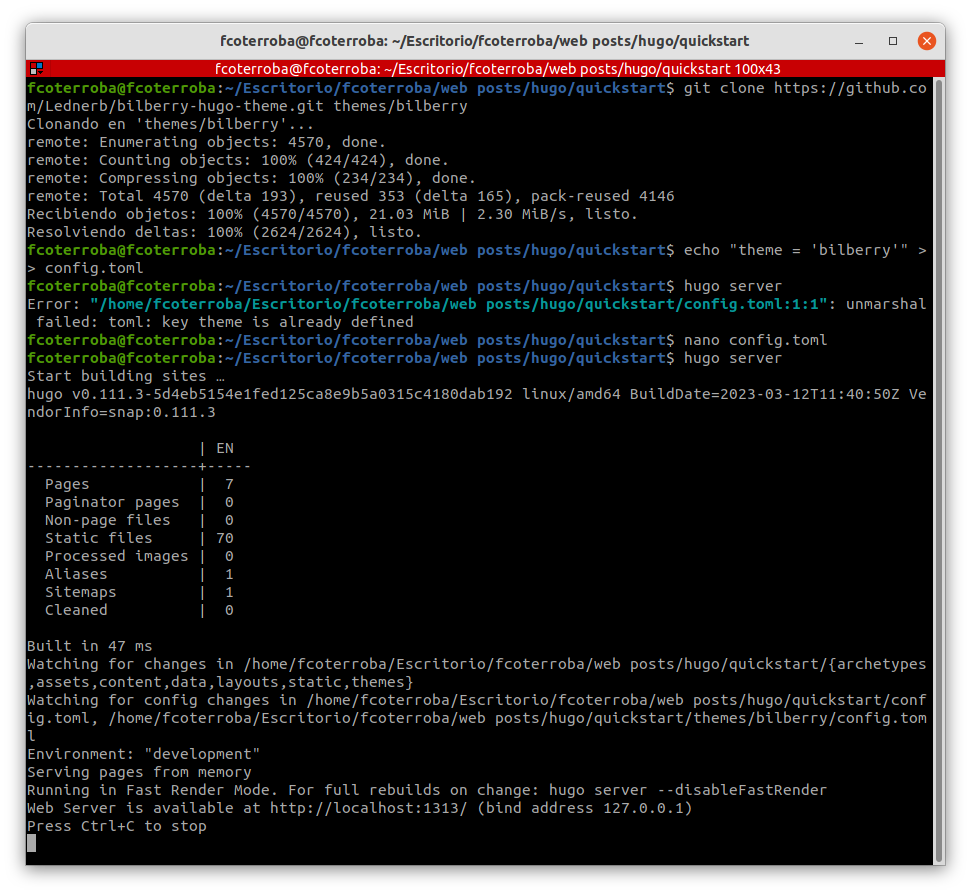 Local Hugo server